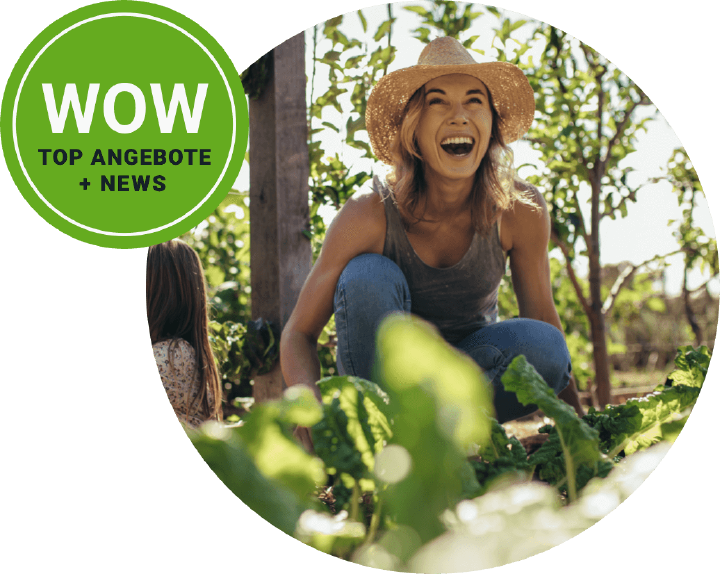 prospekt marz newsletter banner garten prospekt marz newsletter banner garten